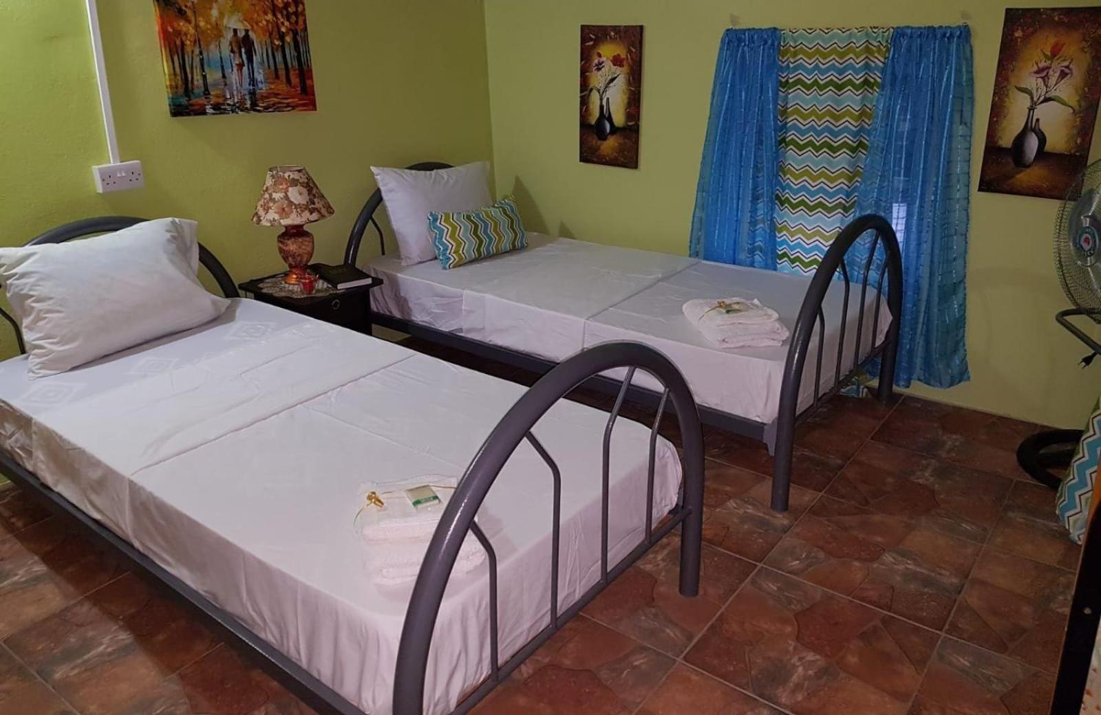 Salz Cozy Inn Roseau Bagian luar foto